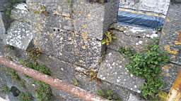 acastle 144070.jpg